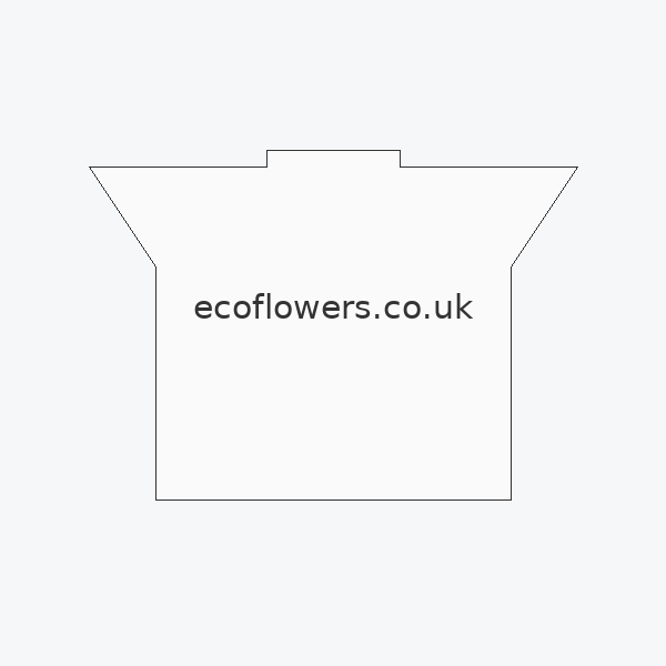 EcoFlowers.co.uk styled presentation